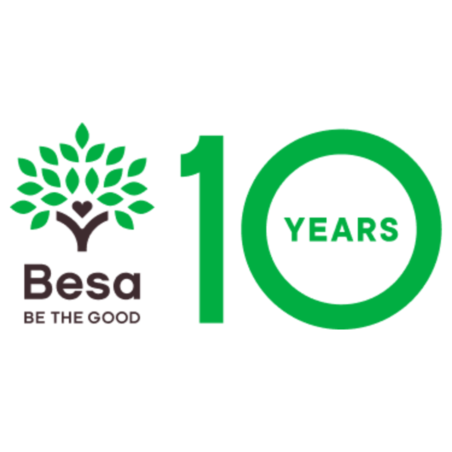 Importance of Volunteering with Besa for a Positive Experience